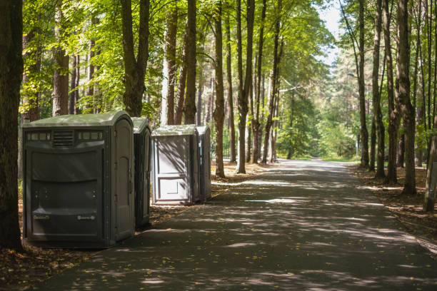 Best Porta potty rental for outdoor events  in Elephant Butte, NM